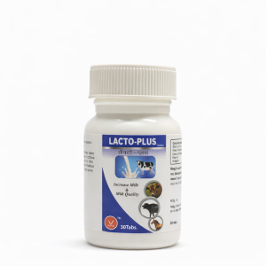 LACTO-PLUS Tablet